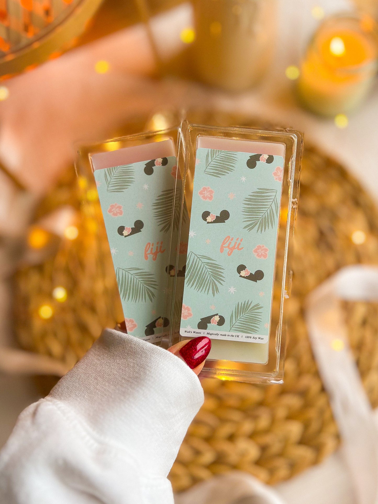 Magic World Parks Inspired Wax Melts