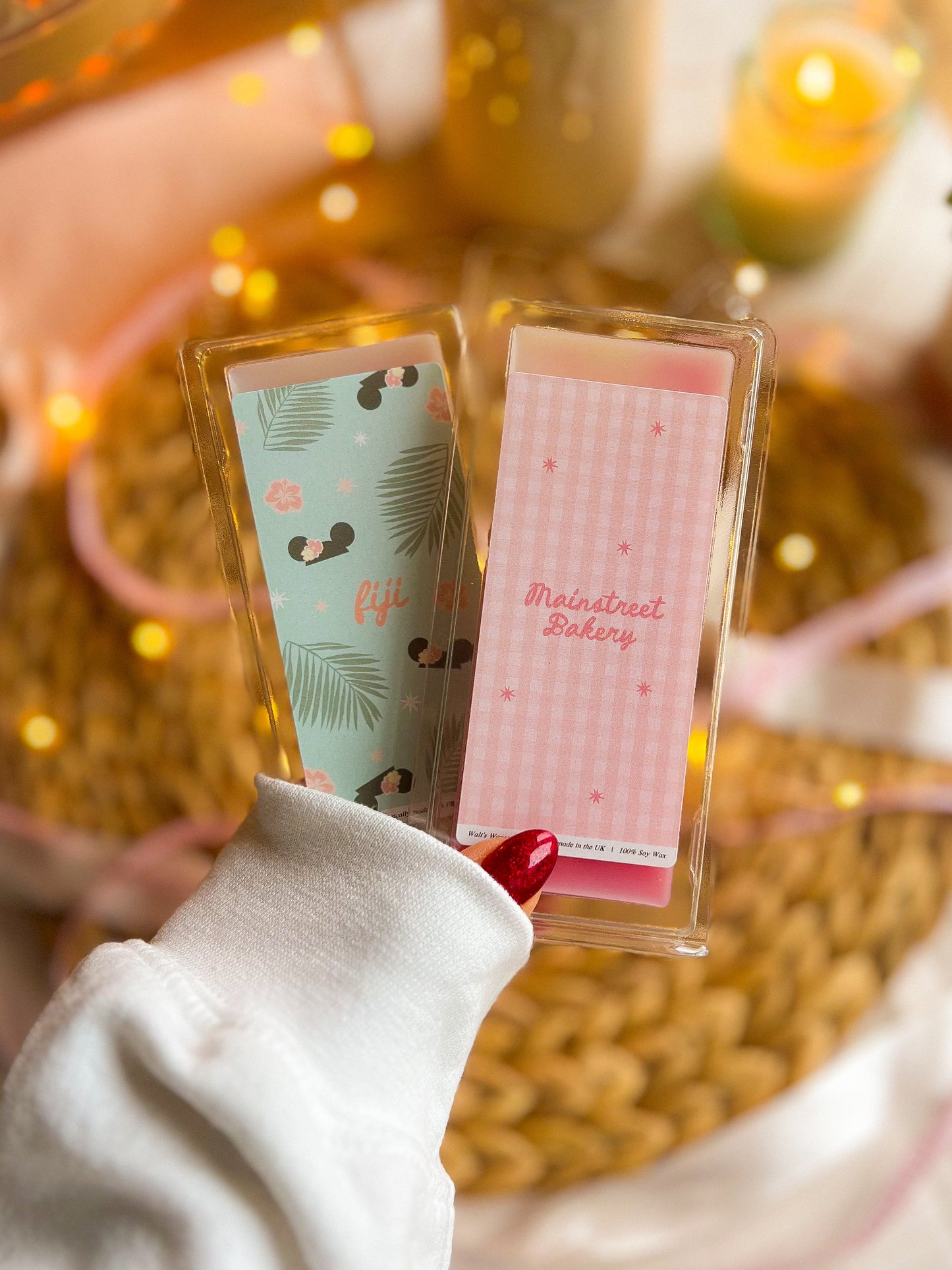 Magic World Parks Inspired Wax Melts