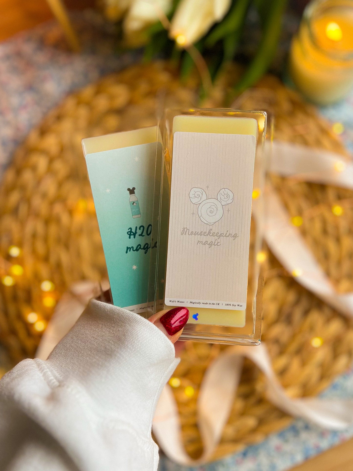 Magic World Parks Inspired Wax Melts