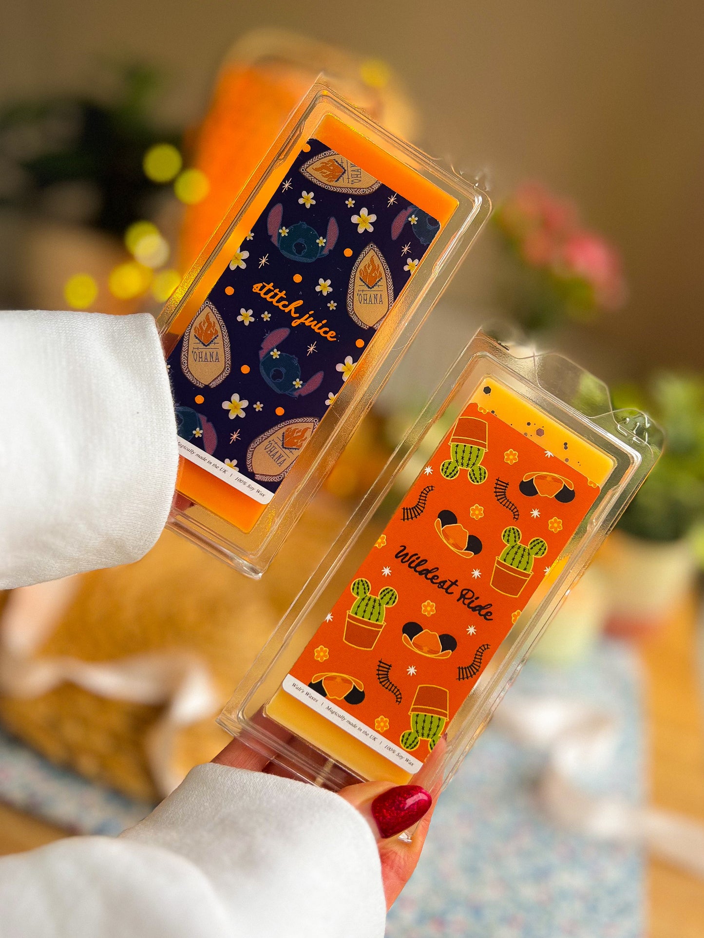 Magic World Parks Inspired Wax Melts