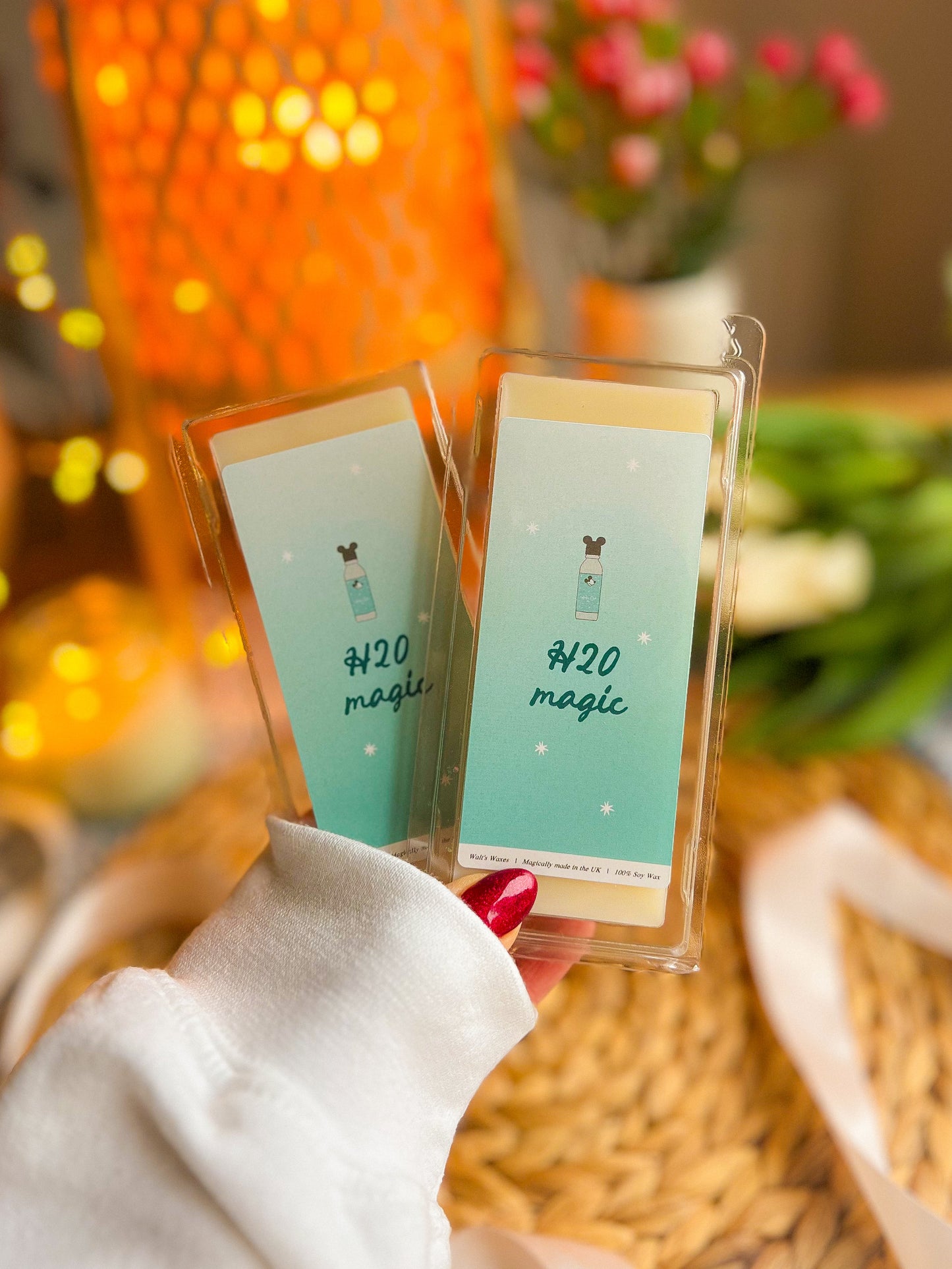 Magic World Parks Inspired Wax Melts