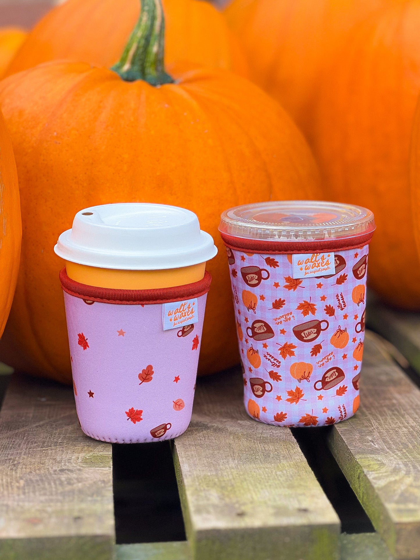 Gilmore Coffee Cosies