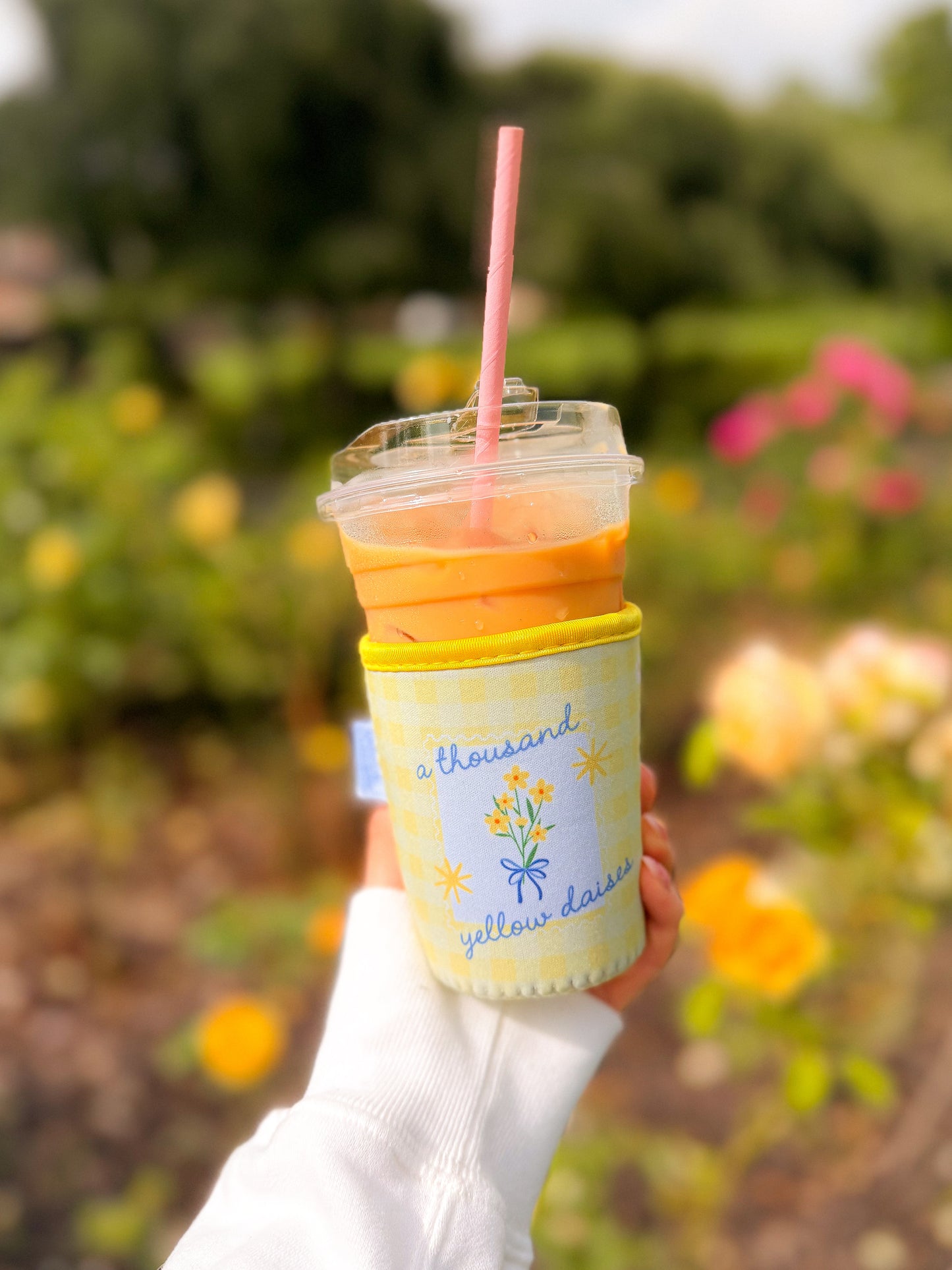 *NEW* Gilmore Coffee Cosies