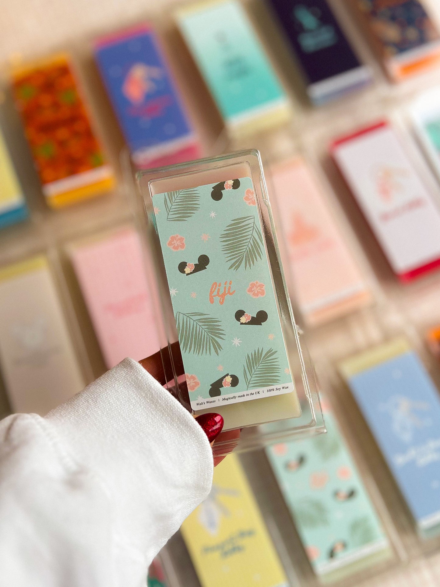 Magic World Parks Inspired Wax Melts