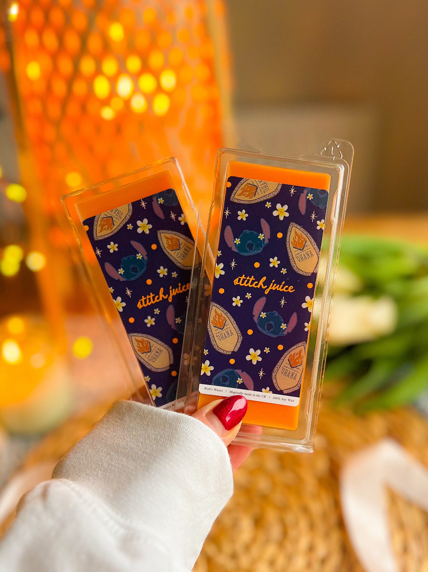 Magic World Parks Inspired Wax Melts